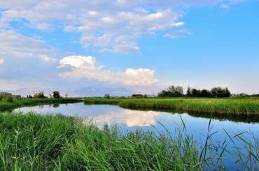 關(guān)于開展2018年上半年南京市建筑業(yè)施工企業(yè)信用評(píng)價(jià)（質(zhì)量）申報(bào)工作的通知